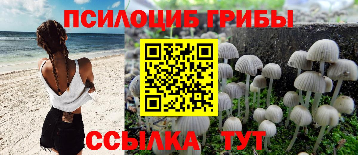 Галлюциногенные грибы мицелий  Вход с VPN  Сыктывкар  Галлюциногенные грибы Psilocybe 